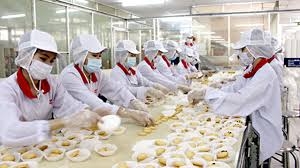 Đặc định đầu Việt, N5, Saitama, Đóng hộp thực phẩm, 20 người, Tăng ca, Có người Việt