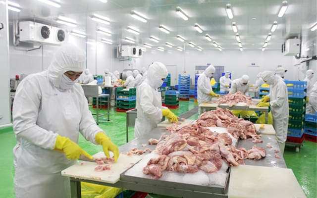 Đặc định đầu Việt, N4, Kanagawa, Đóng hộp thực phẩm, 4 người, Tăng ca