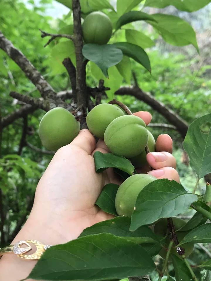 Ảnh đơn hàng
