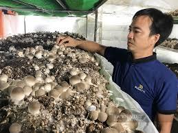 Ảnh đơn hàng