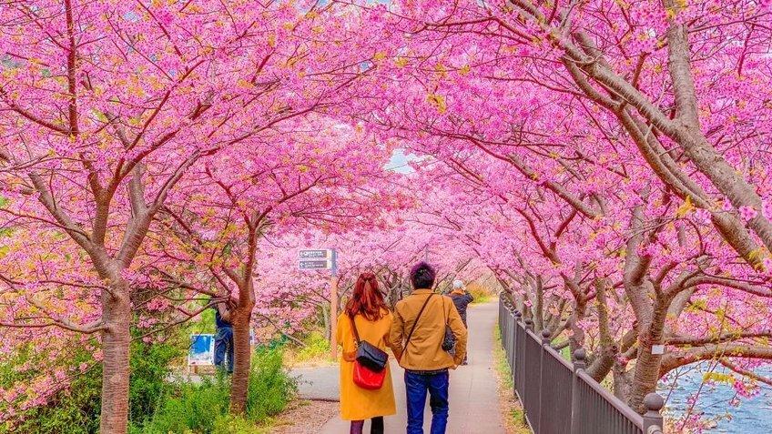 Đi chợ tại Nhật Bản - 9 địa điểm sau đây sẽ giúp bạn tiết kiệm ngân sách đáng kể