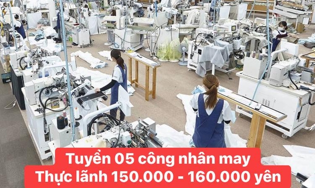 Thực tập sinh 3 năm, Hyogo, May quần áo nam , 10 người, Tăng ca, Lương tốt, Hỗ trợ chỗ ở, Đơn truyền thống, Có người Việt