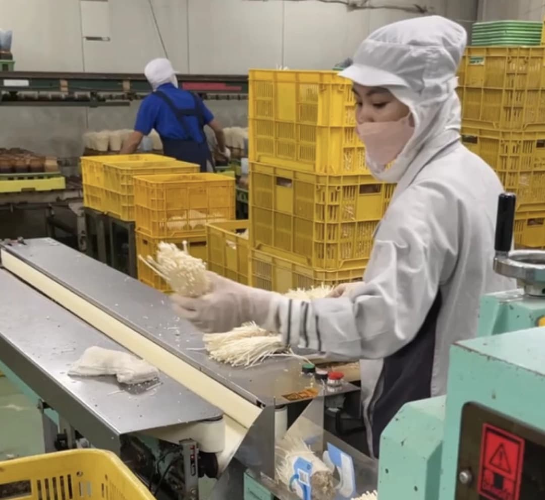 Hoạt động HelloJob 19