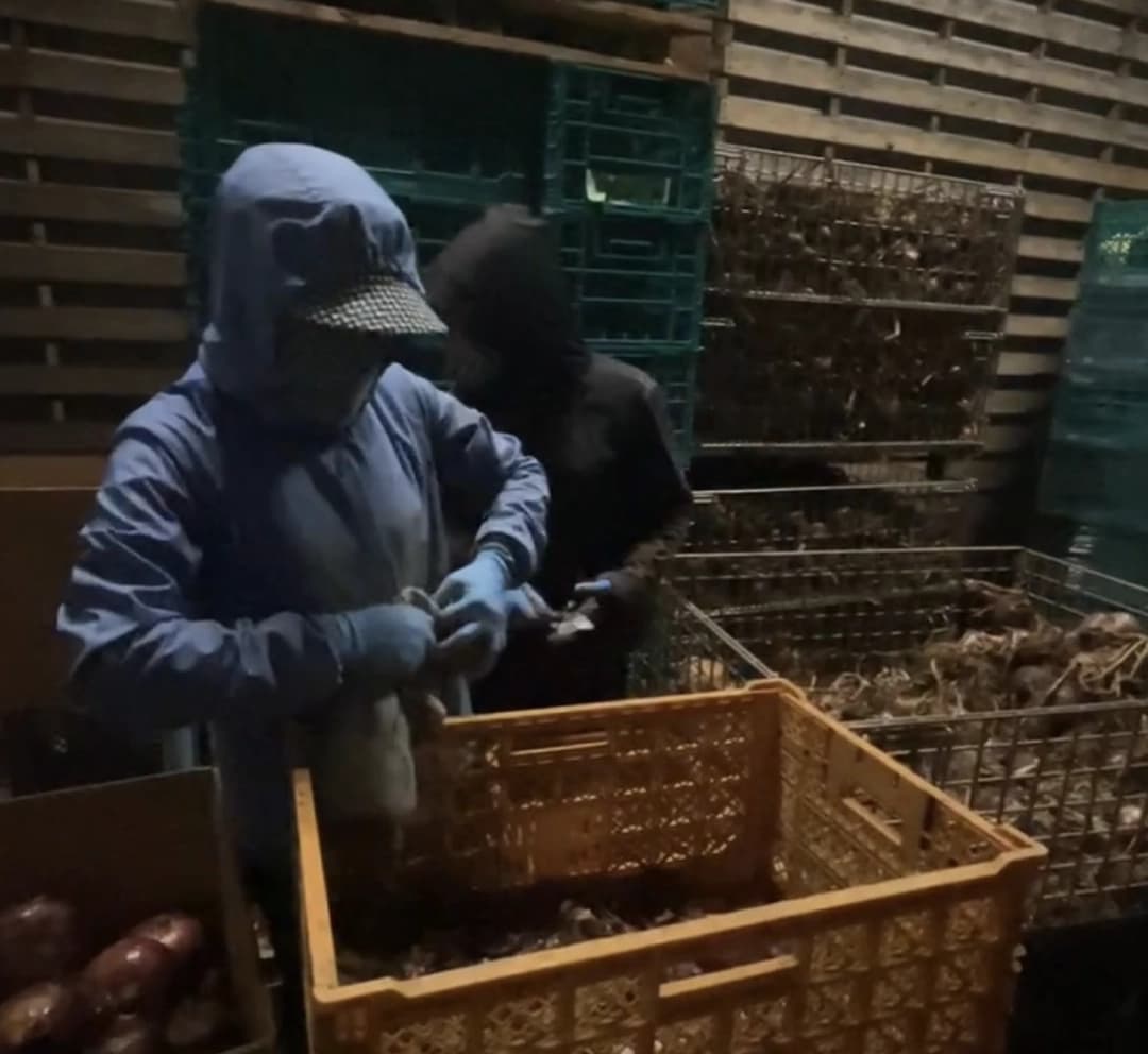 Hoạt động HelloJob 20